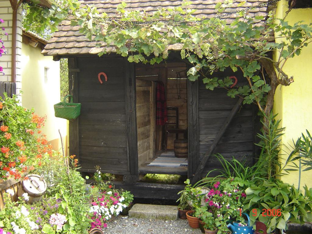 Country House Stara Kapela Nova Kapela Exterior foto